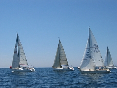 la solitaire 132